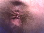 The ass Hole