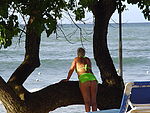 Staring at the Beach