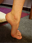 Phill Stiletto 7