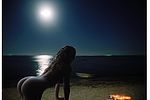 Moonlight Delight