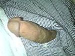 Dick 