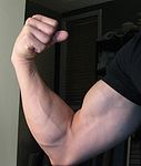 Flex