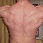  BACK MUSCLES