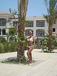 palm