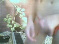 Starlet Safari Private Webcam Show