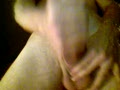Pumped Peter Private Webcam Show