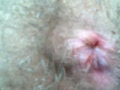 Alessio Maximus Private Webcam Show