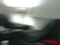 two dildos