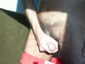 Anunciac Private Webcam Show