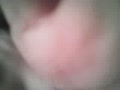 Gypsy Desire Private Webcam Show