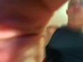 Andy Muscle Private Webcam Show