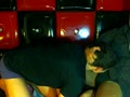Khanonn & Xedrick M Private Webcam Show
