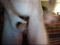 Jacob Matthews Private Webcam Show