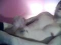 Chris Trent Private Webcam Show